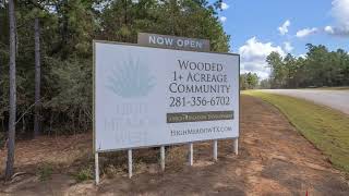 Acreage Land For Sale in Montgomery County Texas [upl. by Pathe]