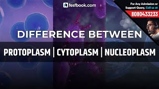 Difference between Protoplasm Cytoplasm amp Nucleoplasm for SSC CGL Biology  Crack CHSL 2019 amp CPO [upl. by Darcey153]