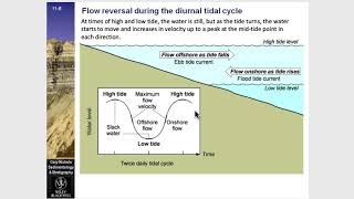 Lecture 14 GEOL2017 [upl. by Odey279]