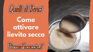 Come attivare il lievito secco o disidratato per la pizza bonci  Quelli di Bonci [upl. by Sonahpets]