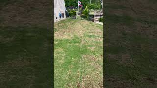 Emerald Zoysia from SOD to success [upl. by Crissy510]