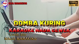 KARAOKE DOMBA KURING  NADA WANITA RAJAKARAOKE [upl. by Oeramed]