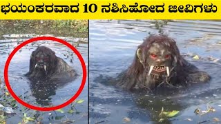 Top 10 Dangerous Extinct Animalsಭಯಂಕರವಾದ 10 ನಶಿಸಿಹೋದ ಜೀವಿಗಳುRj Facts In Kannada [upl. by Ludovika]