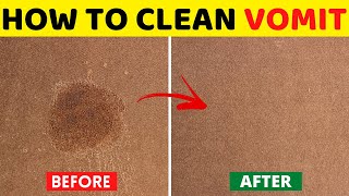 How to Clean Vomit from Carpet with Vinegar amp Baking soda  House Keeper [upl. by Ancalin302]