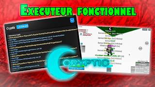 TuTo Cette exécuteur Roblox Marche encore Cheat Blox Fruit pctell [upl. by Ahsayn54]