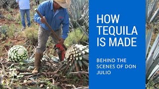 How Tequila Is Made Behind The Scenes of Don Julio Tequila [upl. by Will868]