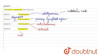 Hassall�s corpuscles are found in l d [upl. by Yacano]