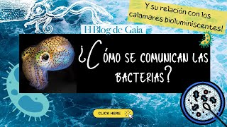 ¿Las bacterias se comunican  Quorum sensing en bacterias  El Blog de Gaia [upl. by Follansbee]