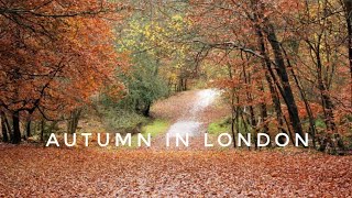 Autumn in London [upl. by Yanaton605]