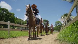 Horseback Riding at Carabalí [upl. by Nnaitsirhc]