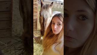 I GOT A HORSEY horse horseedit capcut fyp cute animals [upl. by Russi]