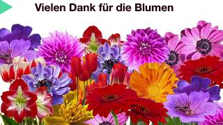 VIELEN DANK für die Blumen und Glückwünsche 💐 Vielen Dank für die Wünsche [upl. by Paff]