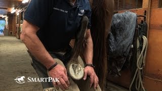 The Safe and Smart Way to Pick Up Your Horses Back Feet [upl. by Nappy]