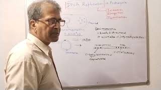 Replication of DNA in Prokaryote Initiation Part 1 [upl. by Mauri31]