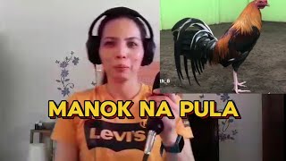 MANOK NA PULA cover Parody cover [upl. by Blayze]