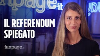 Referendum giustizia 2022 la spiegazione dei 5 quesiti [upl. by Snilloc]