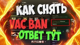 Как снять VAC BAN  Программа для снятия VAC CS GO  Способ убрать вак бан [upl. by Barhos]