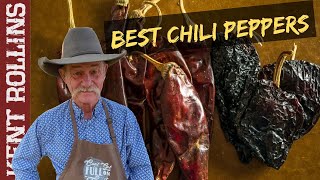 Dried Chili Peppers  Best Peppers for Cooking [upl. by Aenehs]