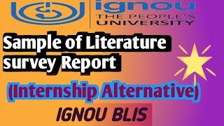 Internship Alternative Report Sample internship alternative report literature survey Report blis [upl. by Drofnats]