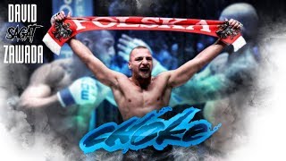 David Zawada talks MMA Germany KSW UFD Gym [upl. by Lebna839]