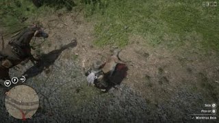 Arrow Injured Deer Random Encounter Red Dead Redemption 2 Arrowhead Location RDO [upl. by Esmond]