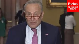 Its A Bridge CR Schumer Touts Senates Continuing Resolution To Avert Government Shutdown [upl. by Kassi674]