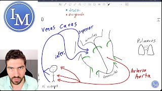 Fisiología Cardiovascular  Circulación Válvulas y Valvulopatías  Congreso BUAP Semana del Corazón [upl. by Ecarg]