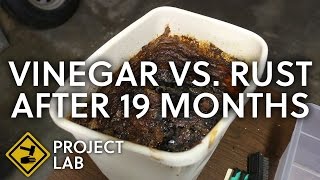 Vinegar rust removal 19 months later vlog [upl. by Horsey]