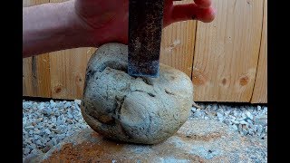 ⛏️ OUVERTURE dune GEODE marine de silex avec un fossile de bivalve [upl. by Euqinobe]