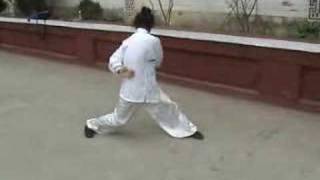 a kung fu masters amazing exercise [upl. by Enyale]