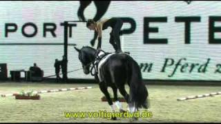 Equitana Vaulting Masters 2011  03  RVV Equus 1 [upl. by Attenahs18]