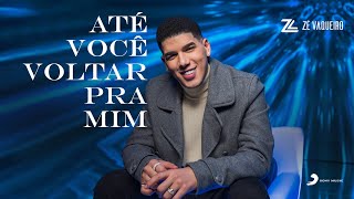 ATÉ VOCÊ VOLTAR PRA MIM  ZÉ VAQUEIRO Vídeo Oficial [upl. by Mandy]