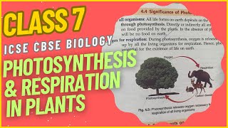 CLASS 7 ICSE Tutorial Photosynthesis and Respiration in Plants  Biology  ICSE [upl. by Groh9]