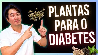 6 SUPER PLANTAS PARA O DIABETES QUE ABAIXAM O AÇÚCAR [upl. by Wrand]