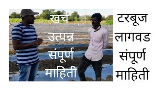 टरबूज लागवड Tarbuj Lagvad Watermelon Farming [upl. by Muir]