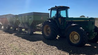 Cutting Soybeans 24 [upl. by Nuli]