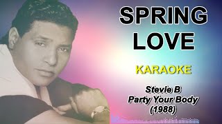 Spring love  Stevie B karaoke HD [upl. by Laehcim]