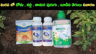 bayer lesenta insecticide  lesenta insecticide telugu  roko flo biostadt  roko flo  gls farming [upl. by Reagan575]