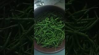 Tasty Hara Marcha ke Achar 😋😋👍🏻👍🏻like subscribe cockingchannel youtubeshorts cooking [upl. by Lanam]