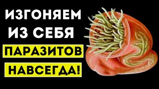 Супереда против ПАРАЗИТОВ Эти 10 Продукты Изгонят Любых Глистов [upl. by Elhsa]