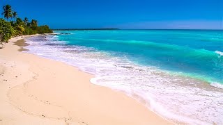 Waves on Saona Island  Relaxing Beach Sounds of the Caribbean Sea For Study Meditation and Sleep [upl. by Phelgon665]