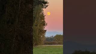 Jesień pełnia księżyca Podhale 🇵🇱 youtubeshortsfullmoonmoonautumn podhalepełniaksiężyca [upl. by Eirb576]