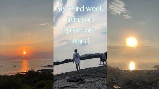 My life living on Appledore Island studying at Shoals Marine Lab  week three [upl. by Karolina709]