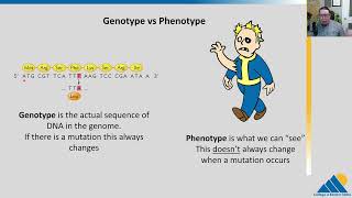 BIO201 Ch146  Mutations and DNA Repair [upl. by Allister552]