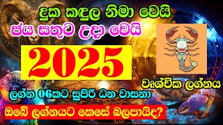 2025 Astrology Horoscope  2025 Panchanga  Wurshchika Lagnaya  2025 Litha  2025 Lagna palapala [upl. by Nosreve]