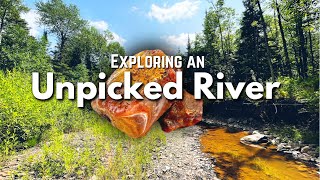 Unpicked River full of Treasure  Finding Lake Superior Agates Amethyst Jasper amp Other Minerals [upl. by Cavil]