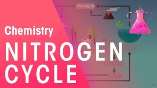 The Nitrogen Cycle  Environmental Chemistry  Chemistry  FuseSchool [upl. by Deegan]