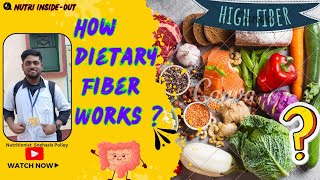 what is dietary fiber in bengali  How dietary fiber works ফাইবার বা আঁশ যুক্ত খাদ্য। [upl. by Ahsem502]