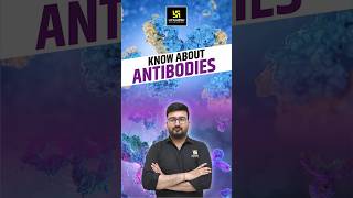 Know About Antibodies  CUET Biology biology antibodies  Shubham Sir [upl. by Harrison331]