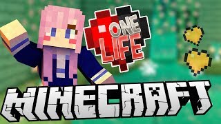 Amazing Discovery  Ep 13  Minecraft One Life [upl. by Landbert]